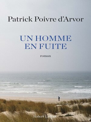 cover image of Un homme en fuite
